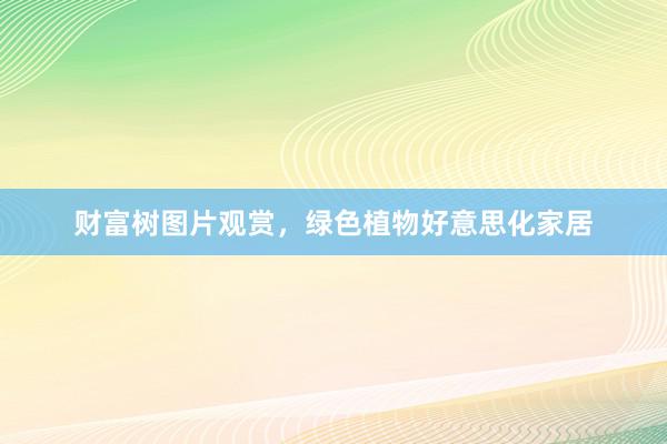 财富树图片观赏，绿色植物好意思化家居